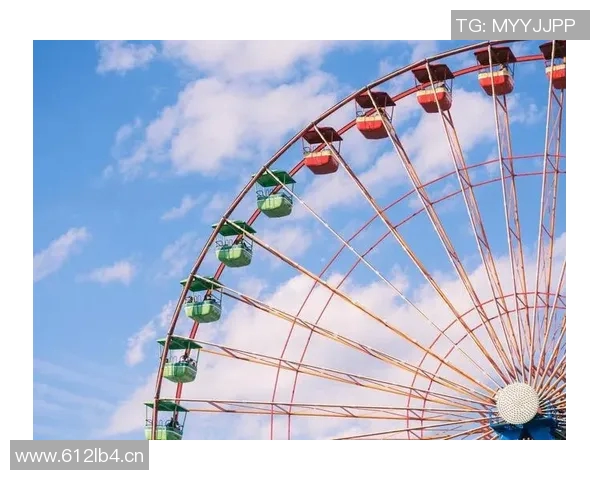 武汉极限运动队的包夹揭秘与深度探讨极限运动的魅力与挑战